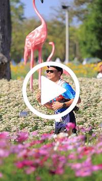 BIB:  <button type="button" onclick="openModal(27588496)" class="btn btn-primary btn-sm float-right" data-toggle="modal" data-target=".modal-high-quality">
                <i class="fa fa-download"></i> Download
                </button>